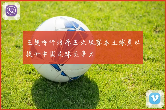 王楚呼吁培养五大联赛本土球员以提升中国足球竞争力