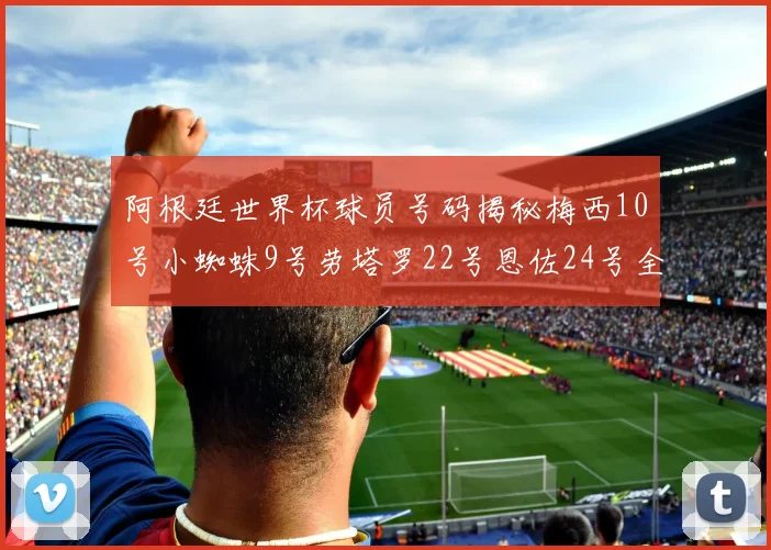 阿根廷世界杯球员号码揭秘梅西10号小蜘蛛9号劳塔罗22号恩佐24号全解析