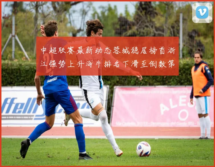 中超联赛最新动态蓉城稳居榜首浙江强势上升海牛排名下滑至倒数第三