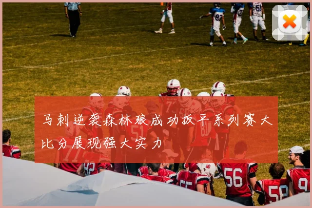 马刺逆袭森林狼成功扳平系列赛大比分展现强大实力